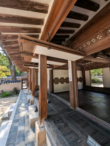 0046-PXL 20250821 071053104