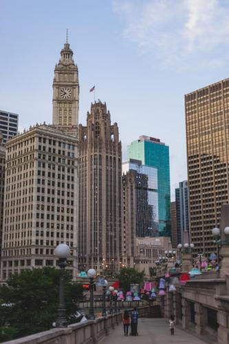 dsc8798jpg 43850553932 o