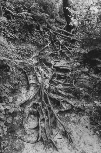 dsc8865jpg 43850667832 o