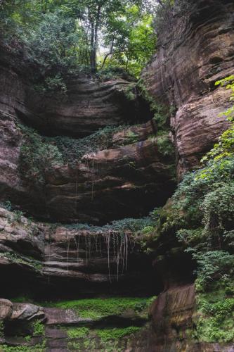 dsc8867jpg 43899061061 o