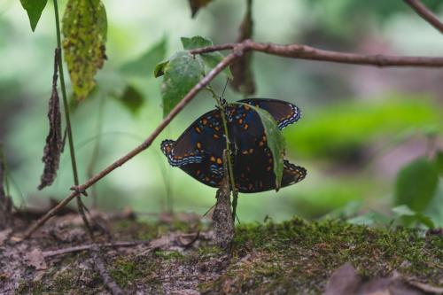 dsc8875jpg 42994462165 o