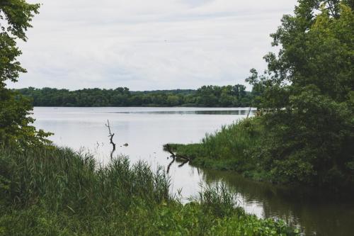 dsc8887jpg 43850717992 o