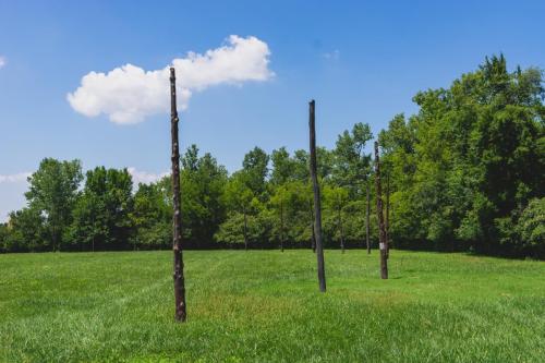 dsc9205jpg 42097555670 o