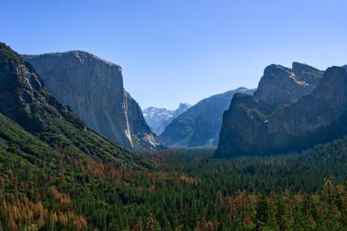 31134377875 161bf7b476 o