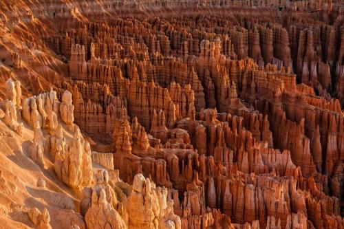 32929407932 38fc6259e2 o